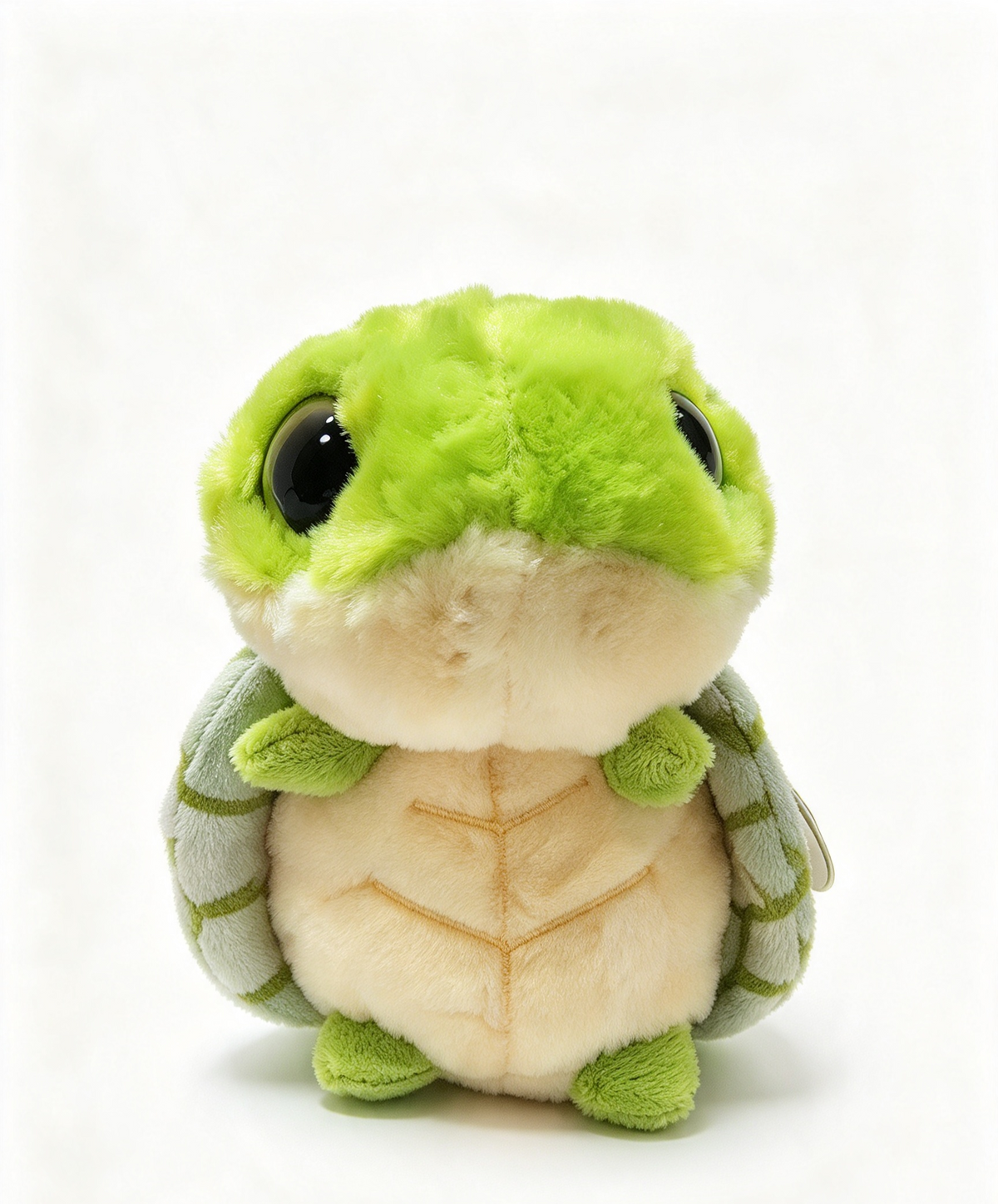 Tortoise Hight 14cm