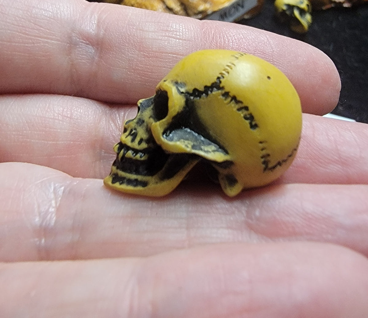 Lapillus Worry Skull Ornament