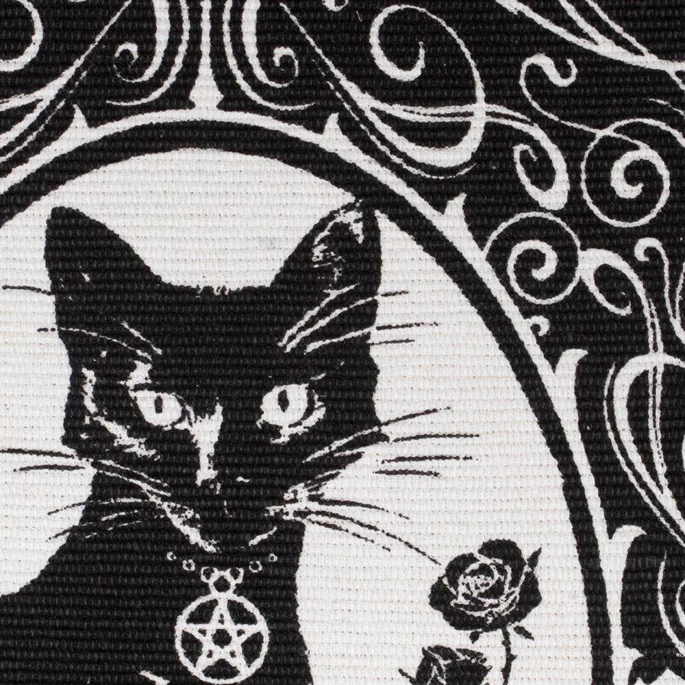 Paracelsus - The Philosopher's Familiar Rug. Cat