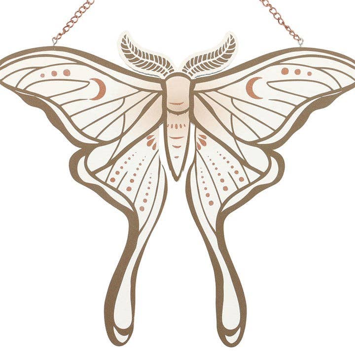 Luna Moth Hanging Decoration This product has been on display slight scratch price was £7.99 Now £3.99