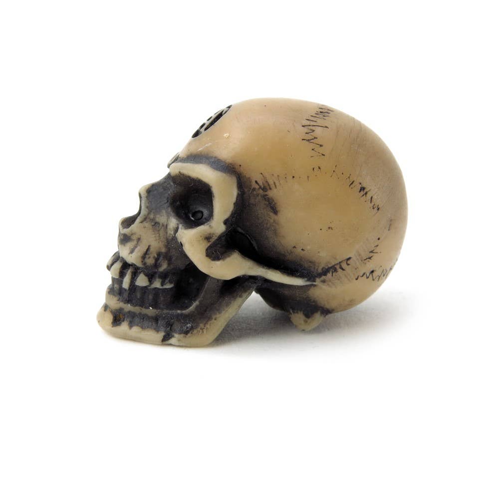 Lapillus Worry Skull Ornament
