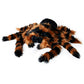 Giant Tarantula