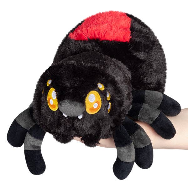 Black Widow Spider