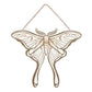 Luna Moth Hanging Decoration This product has been on display slight scratch price was £7.99 Now £3.99