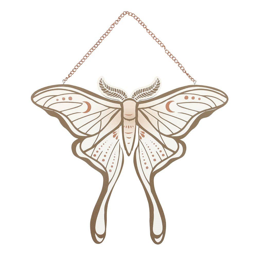 Luna Moth Hanging Decoration This product has been on display slight scratch price was £7.99 Now £3.99