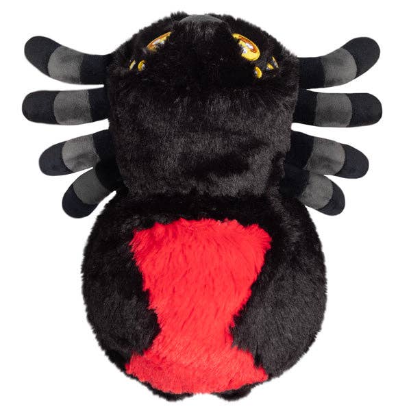 Black Widow Spider