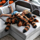 Giant Tarantula