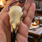 HANDMADE 🖤 RAVEN SKULL NECKLACE..Each pendant is unique as handmade .