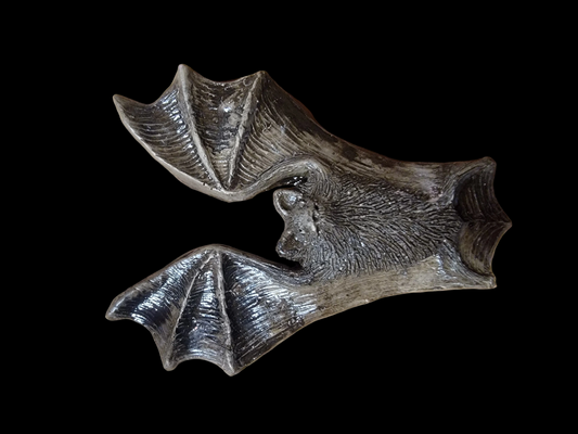 Handmade 🖤 Bat wall plaque