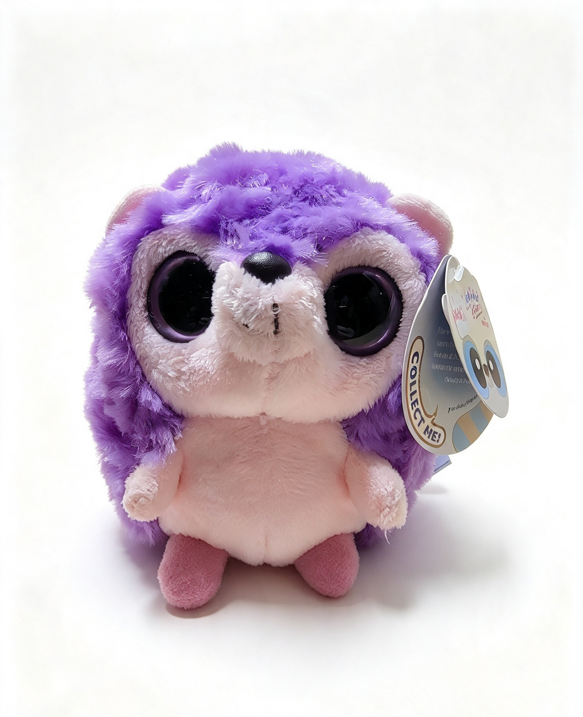 Purple hedgehog