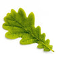 Precious Little Oak leaf Necklace